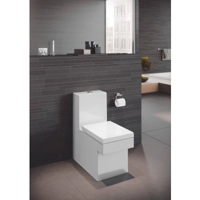 Унитаз напольный безободковый GROHE Cube Ceramic с бачком и быстросъемным сиденьем с микролифтом (NW0037) Унитаз напольный безободковый GROHE Cube Ceramic с бачком и быстросъемным сиденьем с микролифтом (NW0037)