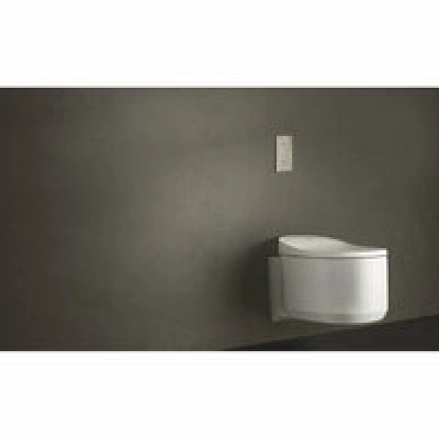 Панель смыва для унитаза GROHE Arena Cosmopolitan S, хром (37624000) Панель смыва для унитаза GROHE Arena Cosmopolitan S, хром (37624000)