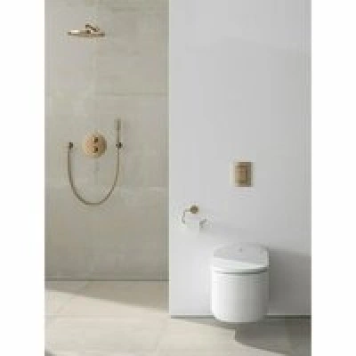 Верхний душ GROHE Rainshower Cosmopolitan 310, 8 л/мин, 1 режим, 380 мм, теплый закат глянец (26066DA0) Верхний душ GROHE Rainshower Cosmopolitan 310, 8 л/мин, 1 режим, 380 мм, теплый закат глянец (26066DA0)