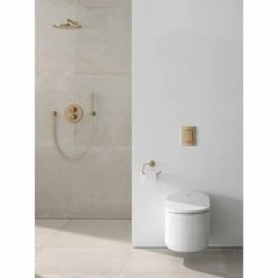 Верхний душ GROHE Rainshower Cosmopolitan 310, 8 л/мин, 1 режим, 380 мм, теплый закат матовый (26066DL0) Верхний душ GROHE Rainshower Cosmopolitan 310, 8 л/мин, 1 режим, 380 мм, теплый закат матовый (26066DL0)