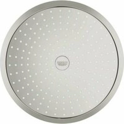 Верхний душ GROHE Rainshower Cosmopolitan 310, 8 л/мин, 1 режим, 380 мм, суперсталь (26066DC0) Верхний душ GROHE Rainshower Cosmopolitan 310, 8 л/мин, 1 режим, 380 мм, суперсталь (26066DC0)