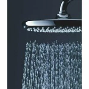 Верхний душ GROHE Tempesta 250, 1 режим, 142 мм, хром (26664000) Верхний душ GROHE Tempesta 250, 1 режим, 142 мм, хром (26664000)