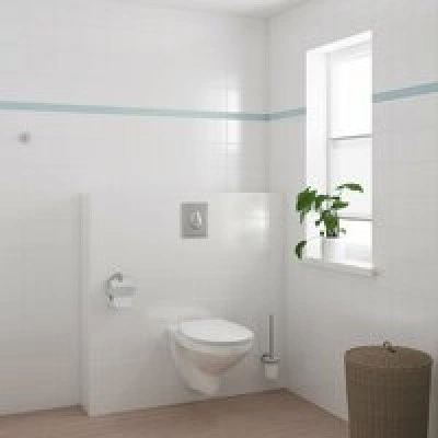 Унитаз GROHE Bau Ceramic подвесной ободковый с сиденьем без микролифта, альпин-белый (39497000) Унитаз GROHE Bau Ceramic подвесной ободковый с сиденьем без микролифта, альпин-белый (39497000)
