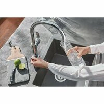 Смеситель для кухонной мойки GROHE Blue Pure BauCurve с функцией фильтрации, с фильтром в комплекте, хром (119709) Смеситель для кухонной мойки GROHE Blue Pure BauCurve с функцией фильтрации, с фильтром в комплекте, хром (119709)