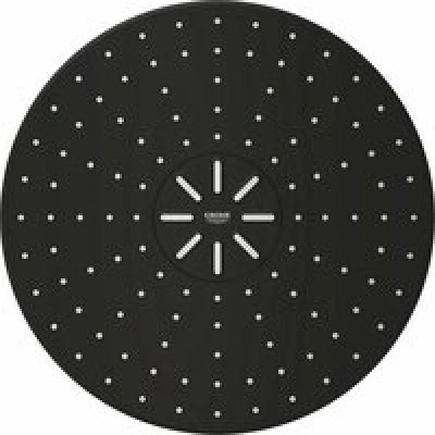 Верхний душ GROHE Rainshower SmartActive 310, 2 режима, 430 мм, фантомный черный (22123KF0) Верхний душ GROHE Rainshower SmartActive 310, 2 режима, 430 мм, фантомный черный (22123KF0)
