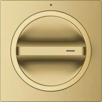 Внешняя часть вентиля GROHE Allure, холодный рассвет матовый (19334GN1) Внешняя часть вентиля GROHE Allure, холодный рассвет матовый (19334GN1)