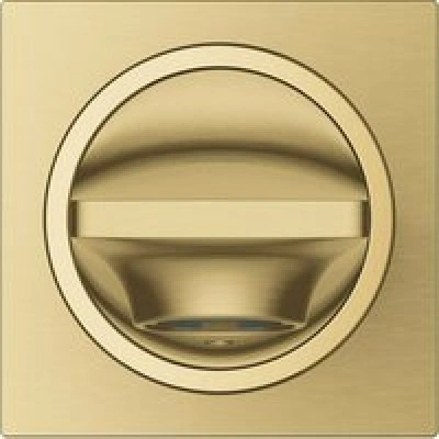 Излив для ванны GROHE Allure, холодный рассвет матовый (13264GN1) Излив для ванны GROHE Allure, холодный рассвет матовый (13264GN1)