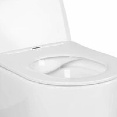 Унитаз Aquatek МИЯ подвесной с сиденьем с микролифтом, белый AQ2004-00 Унитаз Aquatek МИЯ подвесной с сиденьем с микролифтом, белый AQ2004-00