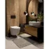 Комплект инсталляции GROHE NW0145/S с унитазом AQUAme AQM2002 и сиденьем с микролифтом (NW0182/S) Комплект инсталляции GROHE NW0145/S с унитазом AQUAme AQM2002 и сиденьем с микролифтом (NW0182/S)