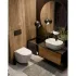 Комплект инсталляции GROHE 38811KF0 с унитазом AQUAme AQM2002PRO и сиденьем с микролифтом (NW0173) Комплект инсталляции GROHE 38811KF0 с унитазом AQUAme AQM2002PRO и сиденьем с микролифтом (NW0173)