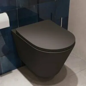 Комплект инсталляции GROHE Rapid SL NW0145/S с унитазом Aqueduto CONE Plus CONT0240 и сиденьем с микролифтом (NW0213) Комплект инсталляции GROHE Rapid SL NW0145/S с унитазом Aqueduto CONE Plus CONT0240 и сиденьем с микролифтом (NW0213)