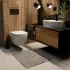 Комплект инсталляции GROHE Rapid SL NW0145/S с унитазом AQUAme AQM2011 и сиденьем с микролифтом (NW0278) Комплект инсталляции GROHE Rapid SL NW0145/S с унитазом AQUAme AQM2011 и сиденьем с микролифтом (NW0278)