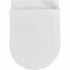 Комплект инсталляции GROHE Solido 38811KF0 с унитазом Aquatek ПОЛАРИС AQ0700-01 и сиденьем с микролифтом (NW0336) Комплект инсталляции GROHE Solido 38811KF0 с унитазом Aquatek ПОЛАРИС AQ0700-01 и сиденьем с микролифтом (NW0336)