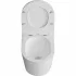 Комплект инсталляции GROHE Rapid SL 38775001 с унитазом Aquatek ТАУРУС AQ1580T-00 и сиденьем с микролифтом (NW0353) Комплект инсталляции GROHE Rapid SL 38775001 с унитазом Aquatek ТАУРУС AQ1580T-00 и сиденьем с микролифтом (NW0353)