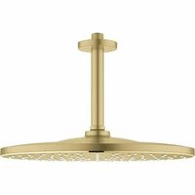 Верхний душ GROHE Rainshower 310 Mono с душевым кронштейном, холодный рассвет матовый (26560GN0)