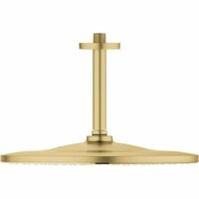 Верхний душ GROHE Rainshower 310 Mono с душевым кронштейном, холодный рассвет матовый (26560GN0) Верхний душ GROHE Rainshower 310 Mono с душевым кронштейном, холодный рассвет матовый (26560GN0)