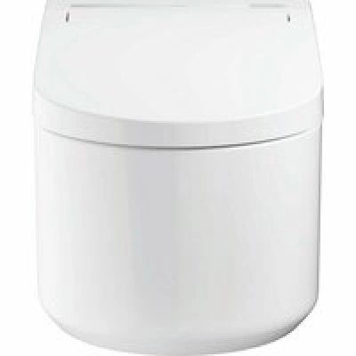 Комплект инсталляции GROHE Rapid SLX 3 в 1 с унитазом Sensia Pro Smart Toilet (NW0518) Комплект инсталляции GROHE Rapid SLX 3 в 1 с унитазом Sensia Pro Smart Toilet (NW0518)