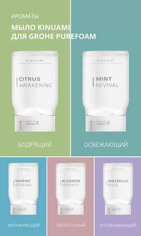 PureFoam